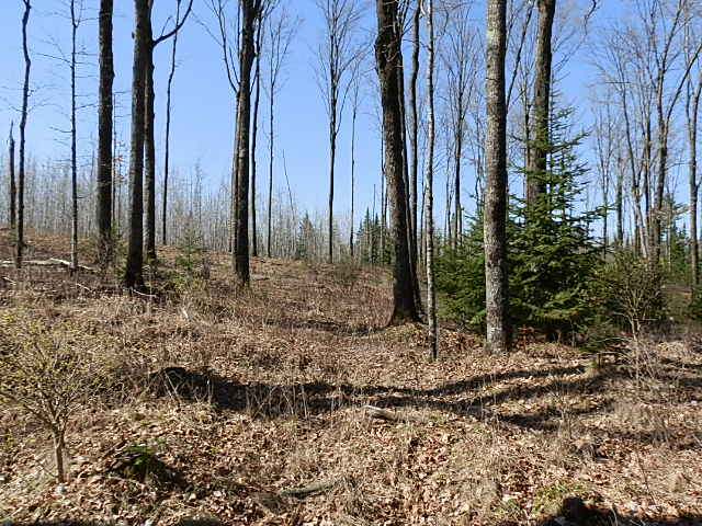 70 Fifield Wi 54524, Unit A Fifield, WI 54524 - Photo 2 of 18 Gallery Image 2