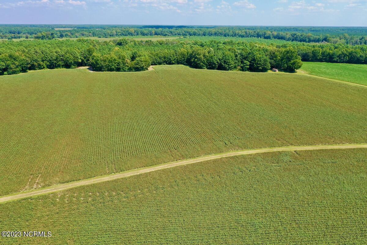 0 Hargraves Road Jackson, NC 27845 - Photo 14 of 50 13