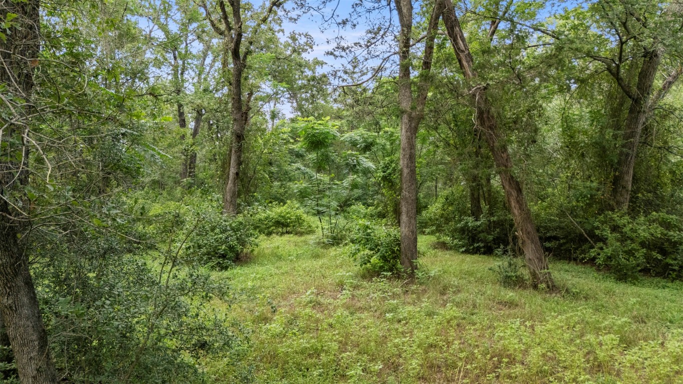 140 Rice Avenue Bastrop, TX 78602 - Photo 14 of 33 a view of a lush green forest