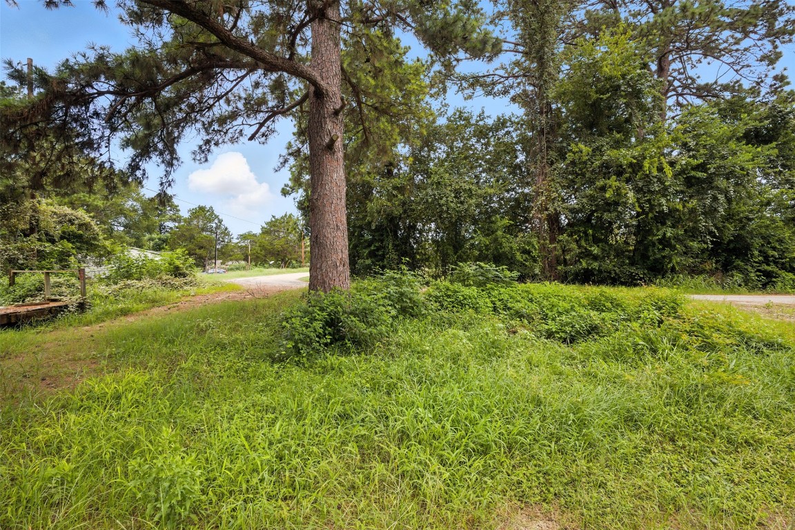 140 Rice Avenue Bastrop, TX 78602 - Photo 7 of 33 a view of outdoor space with deck and yard