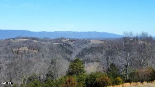 590 Johnson Road Tazewell, TN 37879 - Photo 18 of 44 IMG_5254