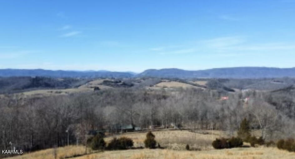 590 Johnson Road Tazewell, TN 37879 - Photo 20 of 44 IMG_5256