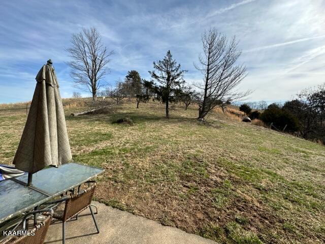 590 Johnson Road Tazewell, TN 37879 - Photo 24 of 44 IMG_5091