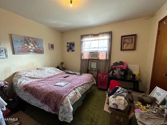 590 Johnson Road Tazewell, TN 37879 - Photo 30 of 44 IMG_5098