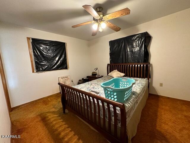 590 Johnson Road Tazewell, TN 37879 - Photo 33 of 44 IMG_5101