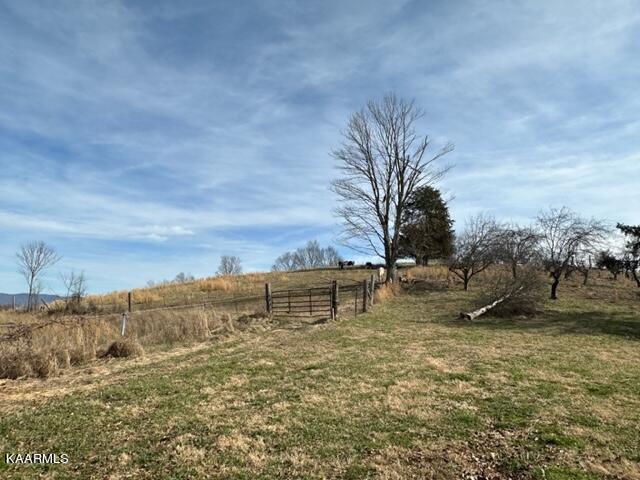 590 Johnson Road Tazewell, TN 37879 - Photo 42 of 44 IMG_5114