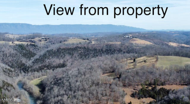 590 Johnson Road Tazewell, TN 37879 - Photo 8 of 44 IMG_5242