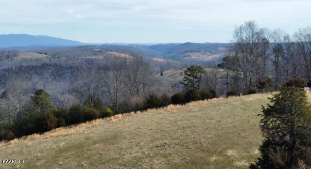 590 Johnson Road Tazewell, TN 37879 - Photo 9 of 44 IMG_5243
