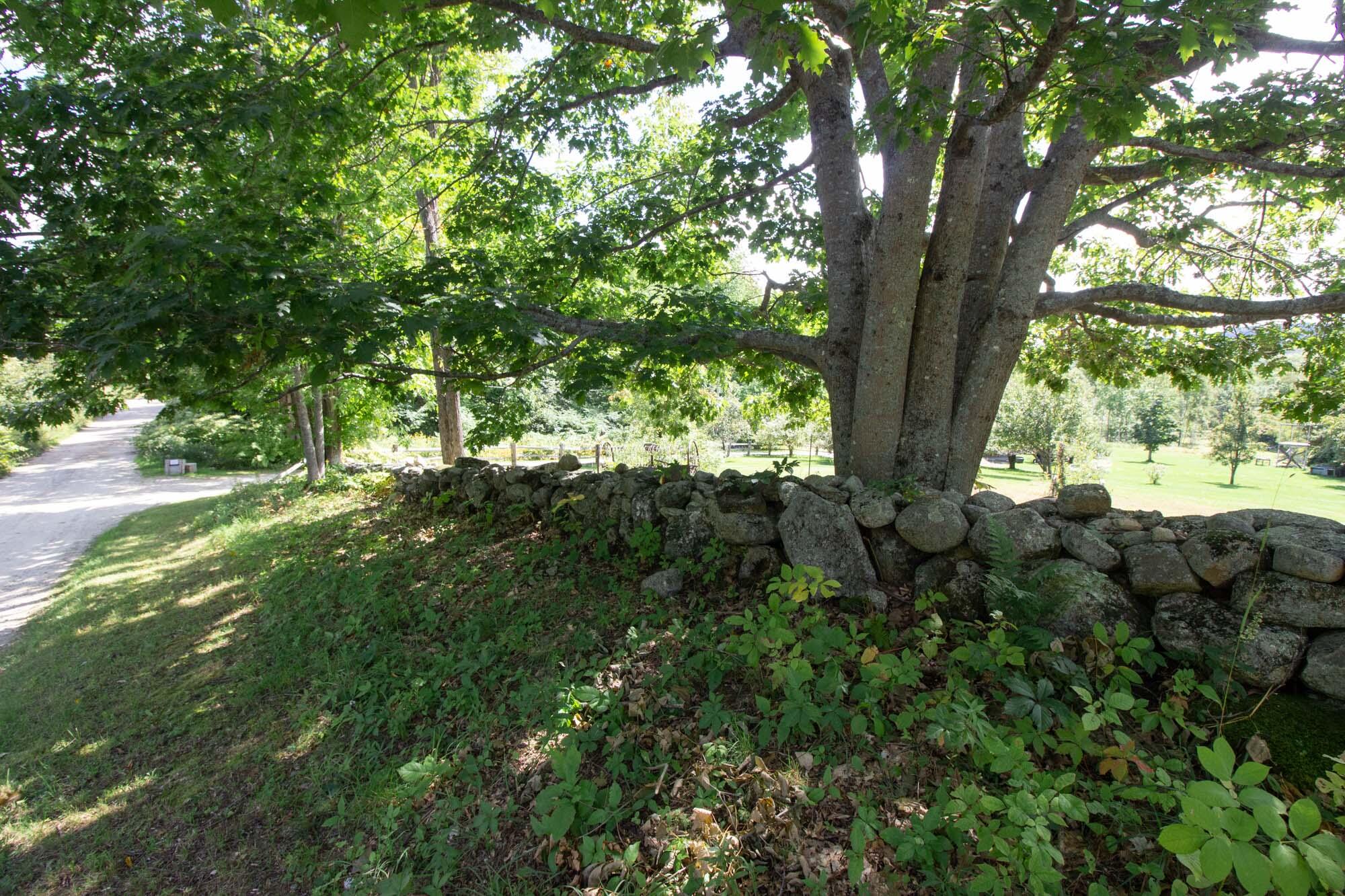 220 Rosenberg Road Sumner, ME 04289 - Photo 65 of 66 220 Rosenberg-69