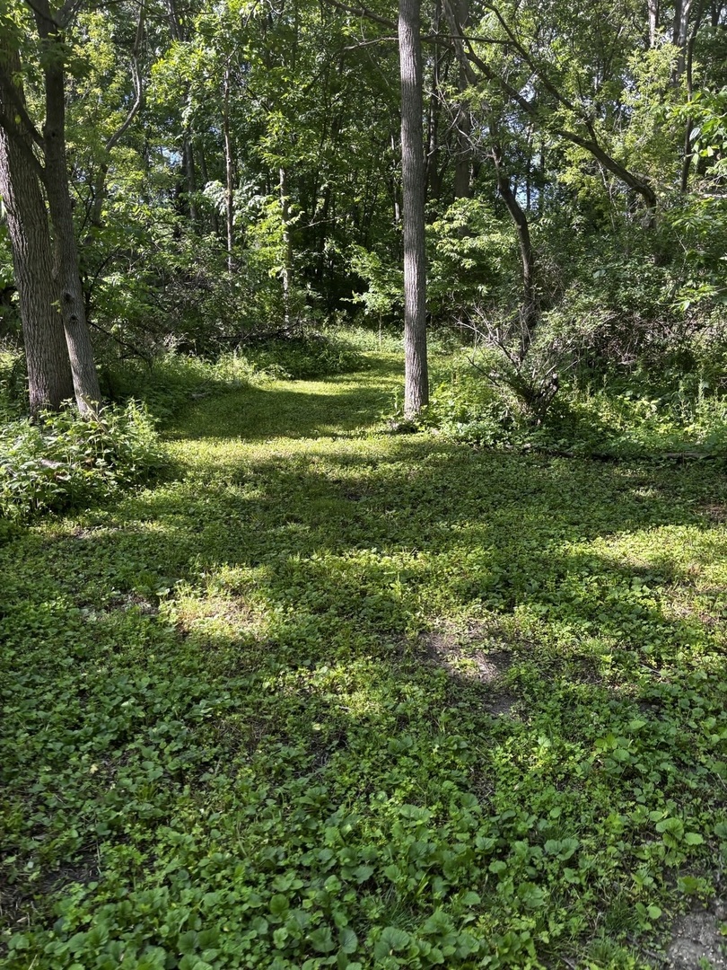 21177 North Valley Road Kildeer, IL 60047 - Photo 3 of 5
