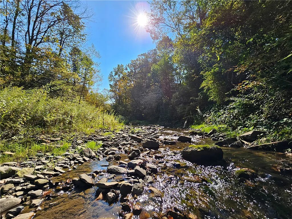 10849 New Oregon Road North Collins, NY 14111 - Photo 15 of 44