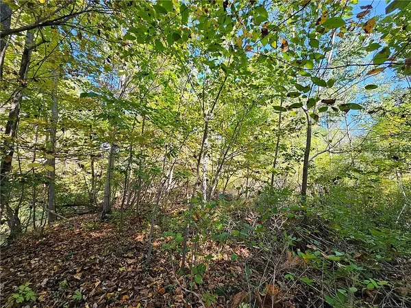 $299,900 | 10849 New Oregon Road, North Collins, NY 14111