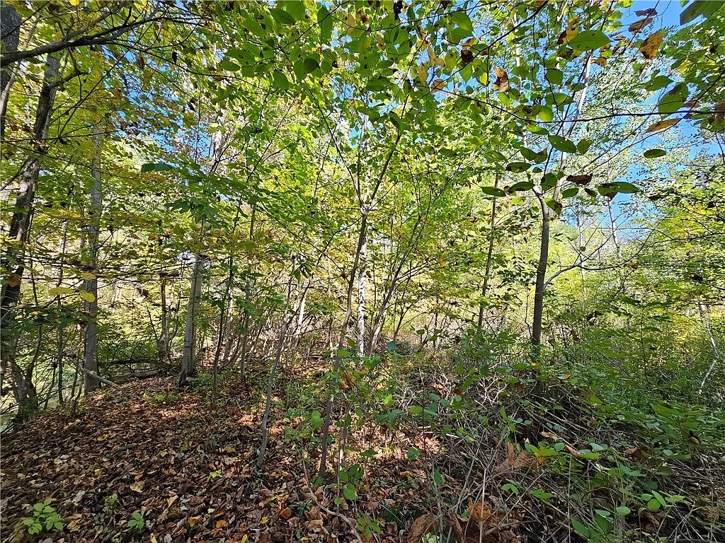 10849 New Oregon Road North Collins, NY 14111 - Photo 16 of 44