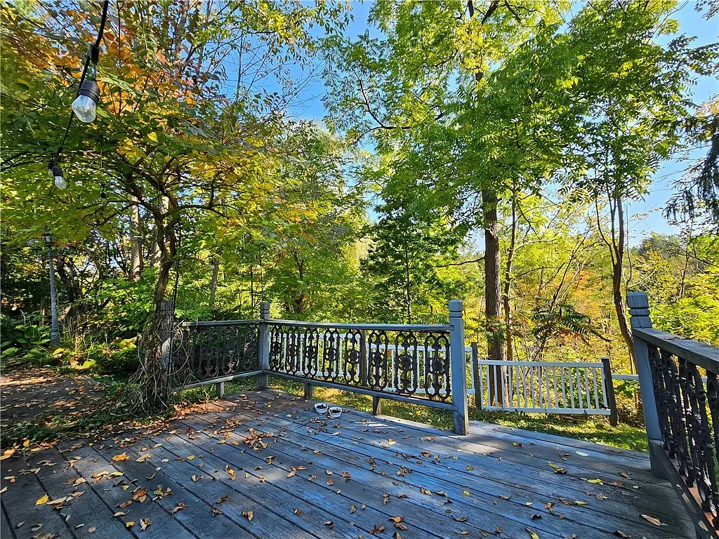 10849 New Oregon Road North Collins, NY 14111 - Photo 4 of 44