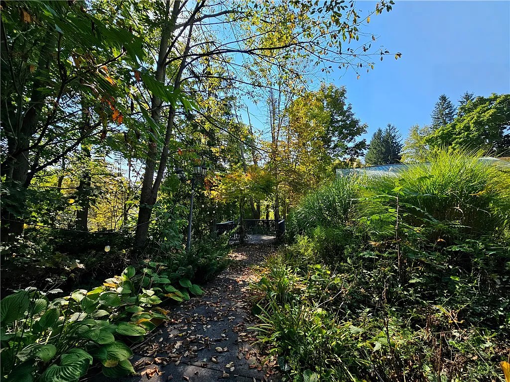 10849 New Oregon Road North Collins, NY 14111 - Photo 6 of 44