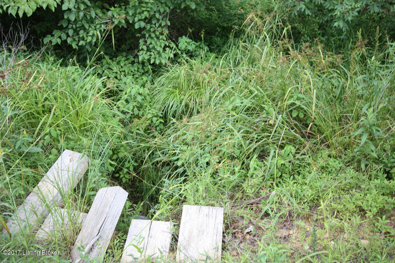289 Hooper Barton Road Leitchfield, KY 42754 - Photo 11 of 29 Image26hopper barton rd