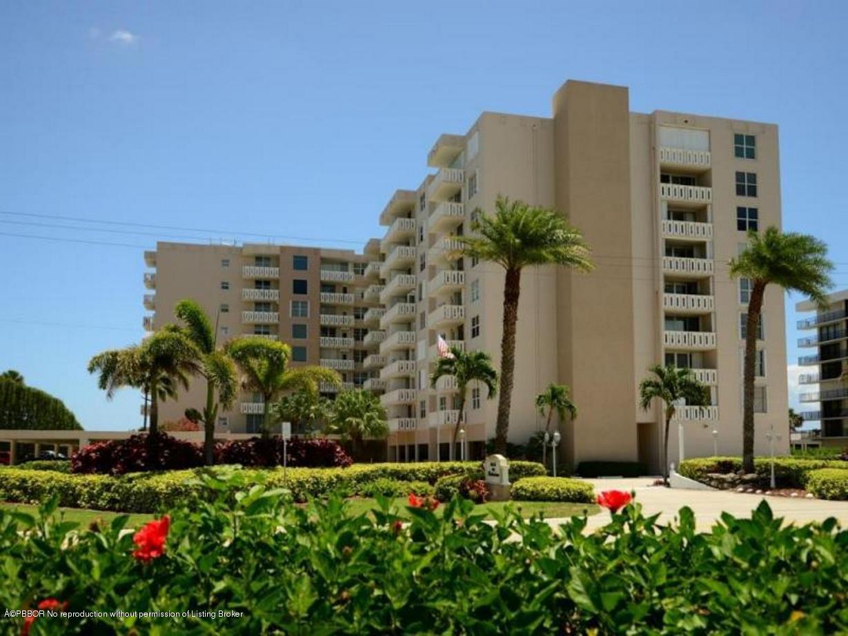 3450 South Ocean Boulevard, Unit 410 Palm Beach, FL 33480 - Photo 13 of 21 a plant that is in front of a building