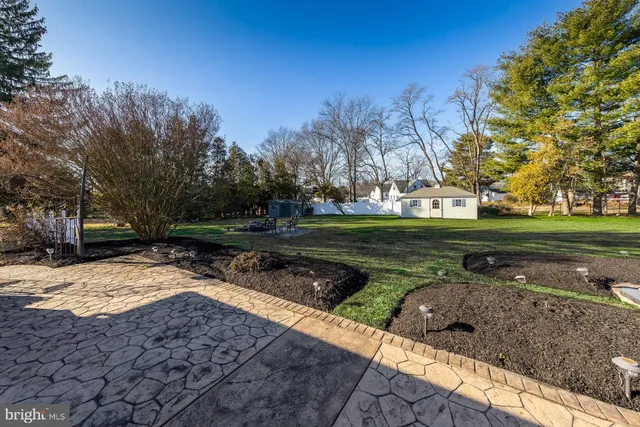 a view of a park with large trees