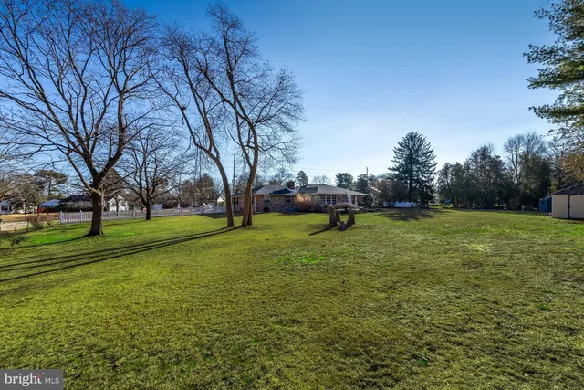 a view of road with large trees