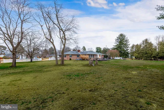 a view of yard with tree s