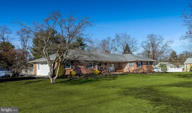 a view of a park with large trees
