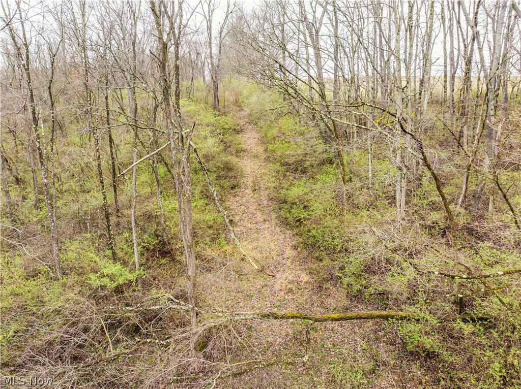 Buck Hill Road Frazeysburg, OH 43822 - Photo 20 of 24