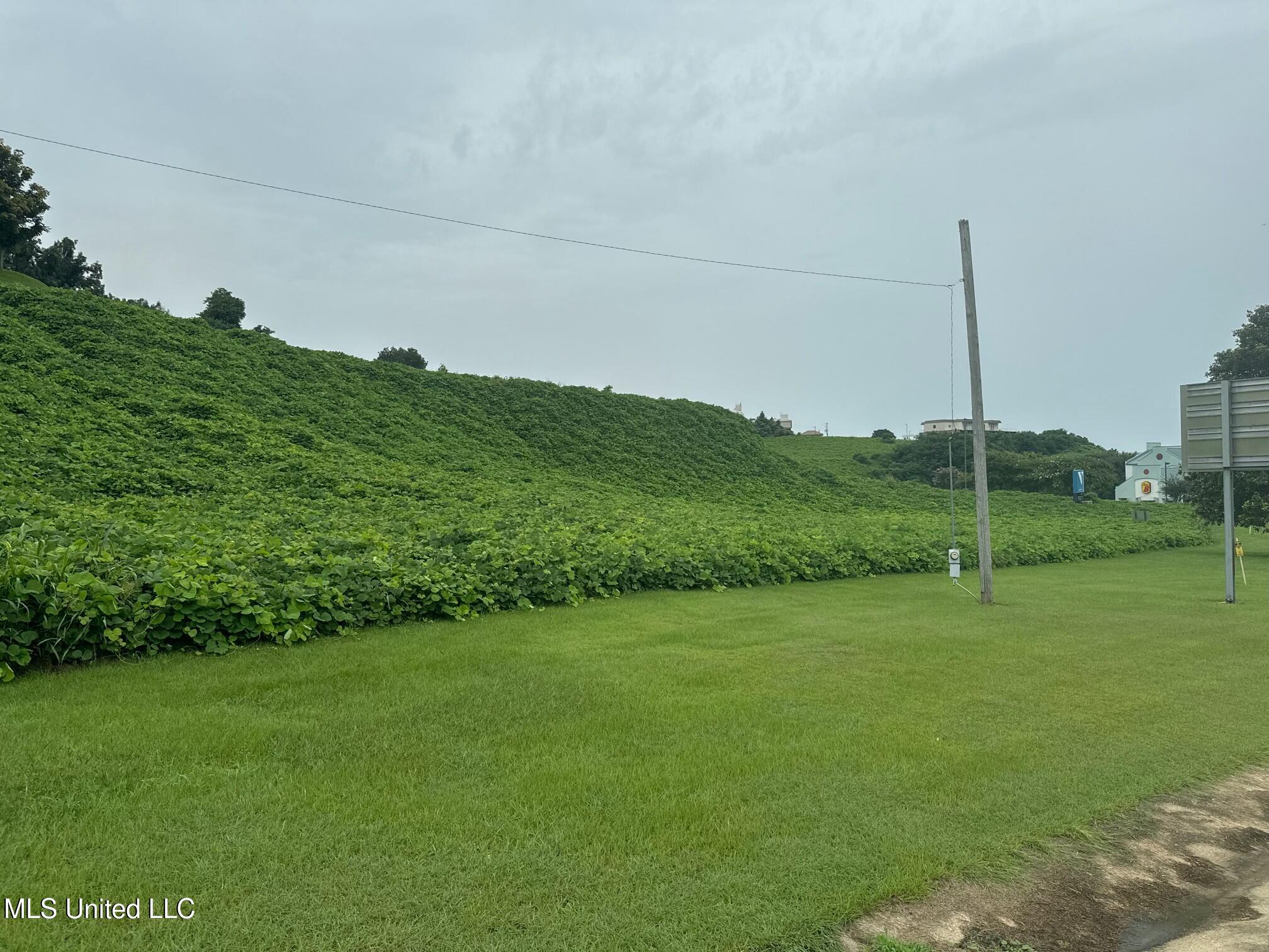 John R Junkin Drive Natchez, MS 39120 - Photo 4 of 8 tempImagexzGdBd