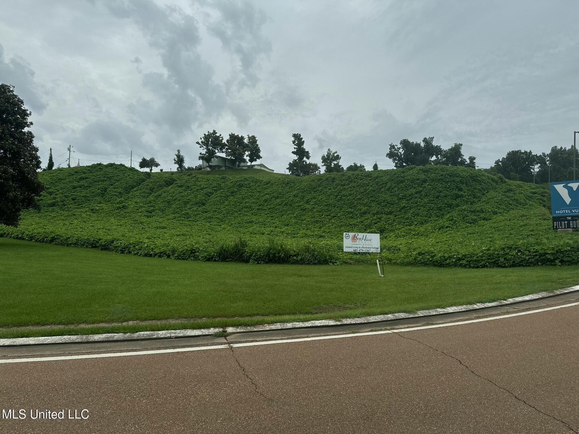 John R Junkin Drive Natchez, MS 39120 - Photo 5 of 8 tempImageocjPaF