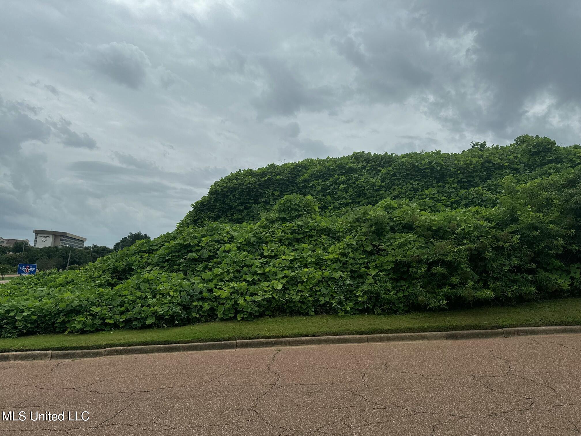 John R Junkin Drive Natchez, MS 39120 - Photo 6 of 8 tempImageDgCyVY