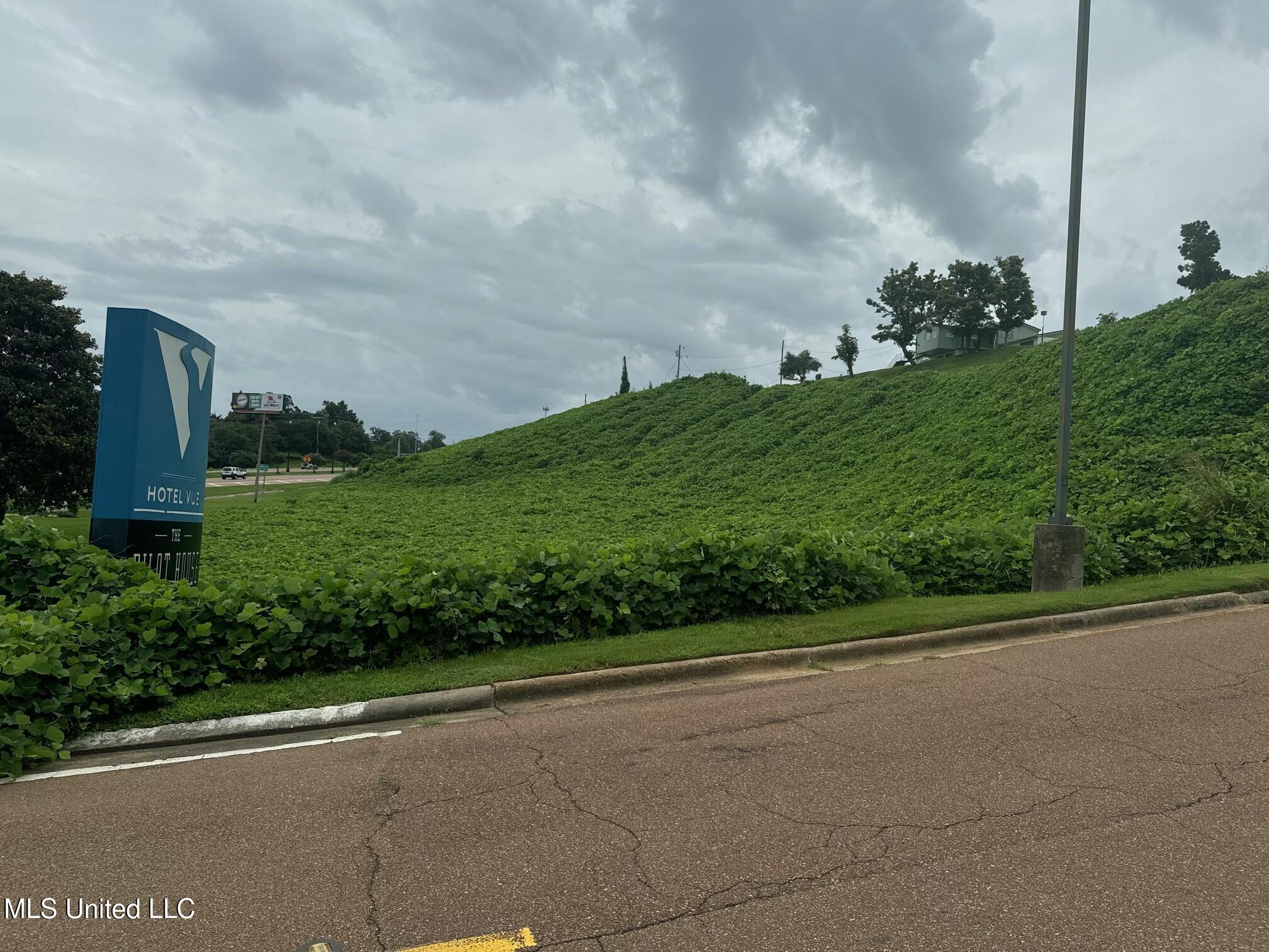 John R Junkin Drive Natchez, MS 39120 - Photo 7 of 8 tempImageWc3hvG