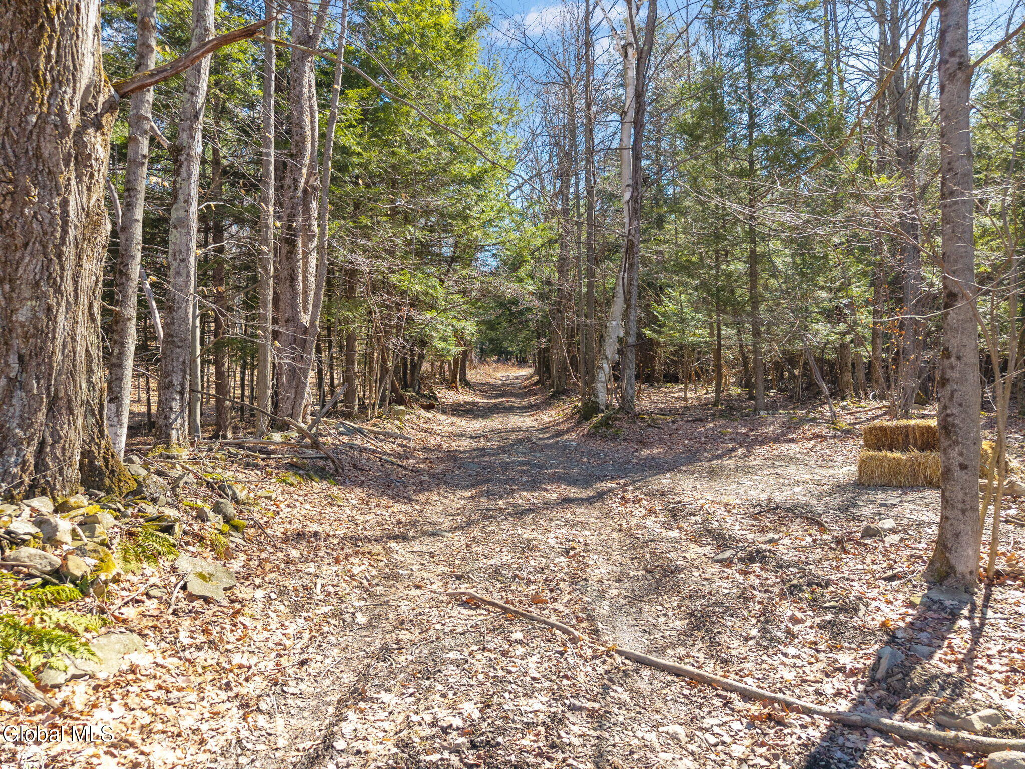 L18.1 Engle Road Schoharie, NY 12157 - Photo 12 of 39 4-RalphEngleRd_04