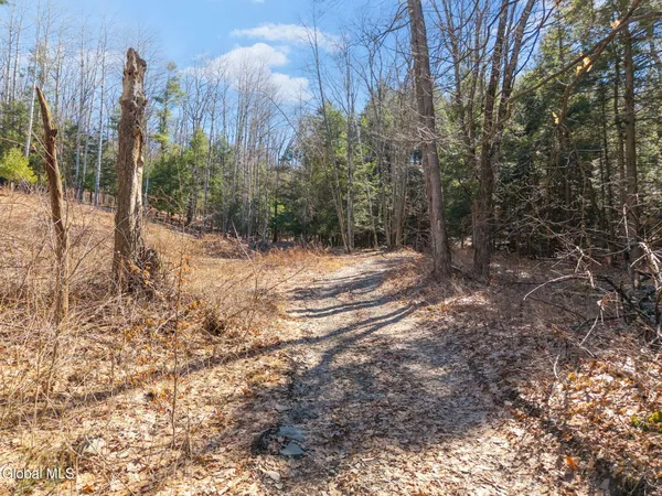 $499,900 | L18.1 Engle Road, Schoharie, NY 12157