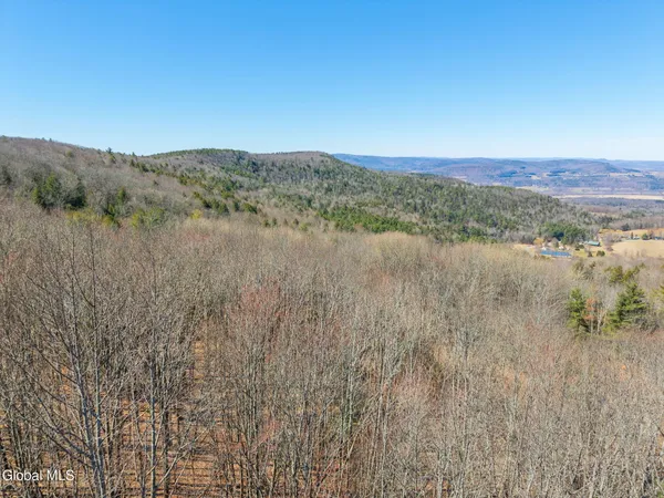 $499,900 | L18.1 Engle Road, Schoharie, NY 12157