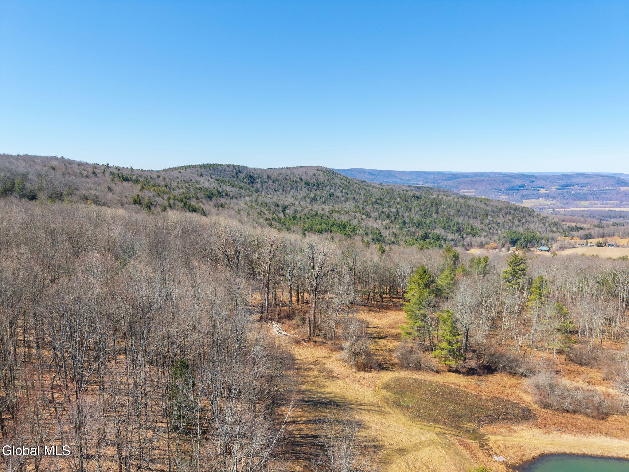 L18.1 Engle Road Schoharie, NY 12157 - Photo 16 of 39 8-RalphEngleRd_08