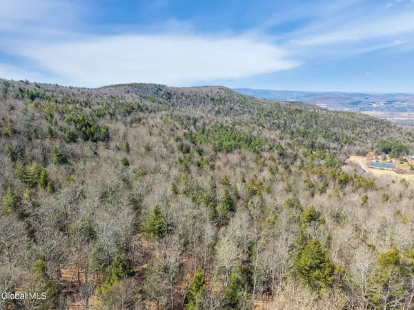 $499,900 | L18.1 Engle Road, Schoharie, NY 12157