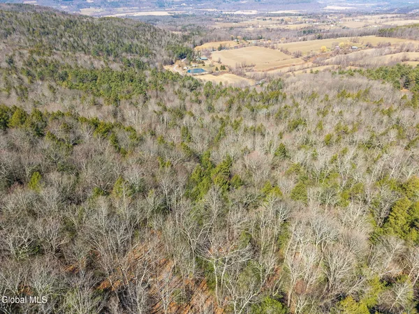 $499,900 | L18.1 Engle Road, Schoharie, NY 12157