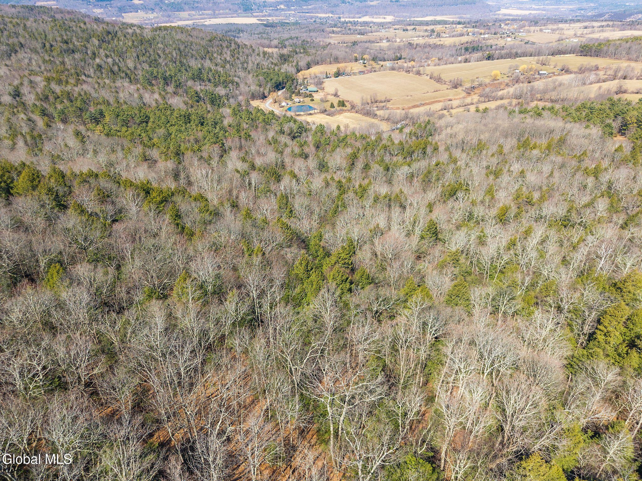 L18.1 Engle Road Schoharie, NY 12157 - Photo 18 of 39 10-RalphEngleRd_10