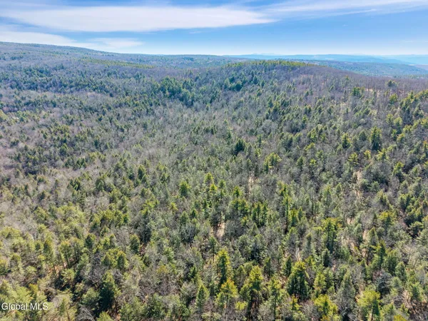 $499,900 | L18.1 Engle Road, Schoharie, NY 12157