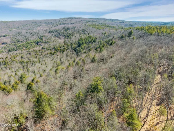 $499,900 | L18.1 Engle Road, Schoharie, NY 12157