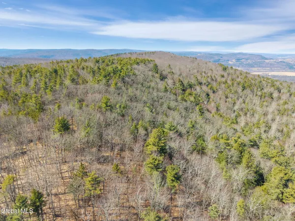 $499,900 | L18.1 Engle Road, Schoharie, NY 12157