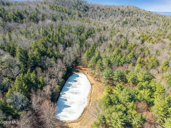 $499,900 | L18.1 Engle Road, Schoharie, NY 12157