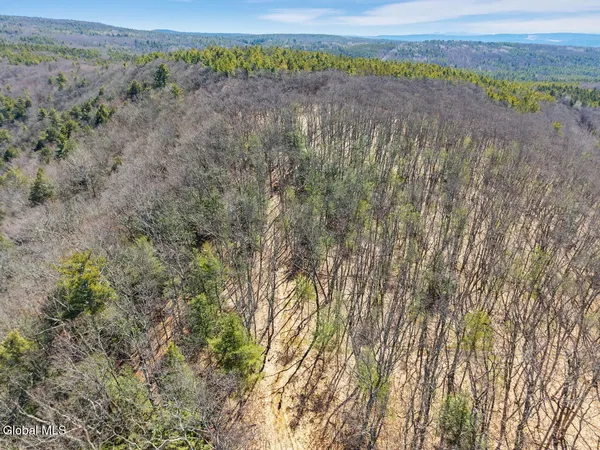 $499,900 | L18.1 Engle Road, Schoharie, NY 12157