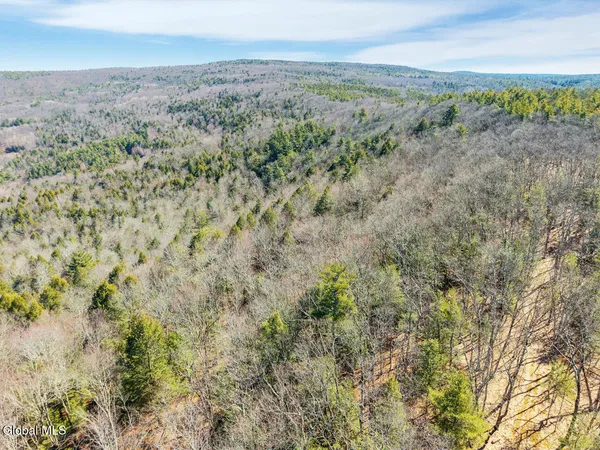 $499,900 | L18.1 Engle Road, Schoharie, NY 12157