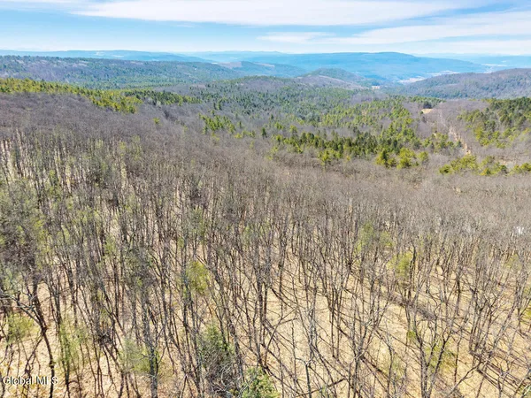 $499,900 | L18.1 Engle Road, Schoharie, NY 12157