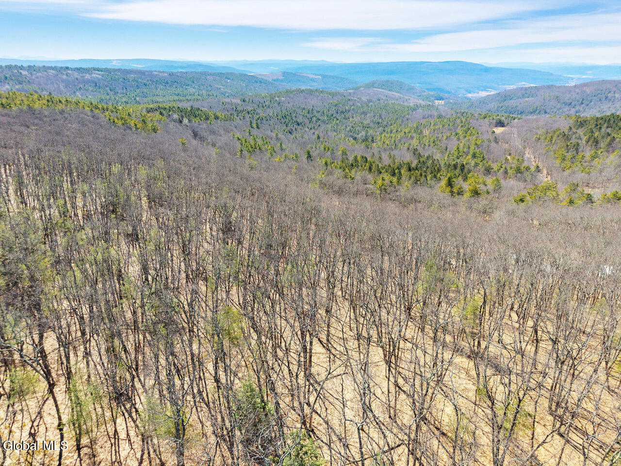 L18.1 Engle Road Schoharie, NY 12157 - Photo 30 of 39 19-RalphEngleRd_19 (1)
