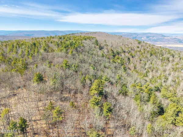 $499,900 | L18.1 Engle Road, Schoharie, NY 12157