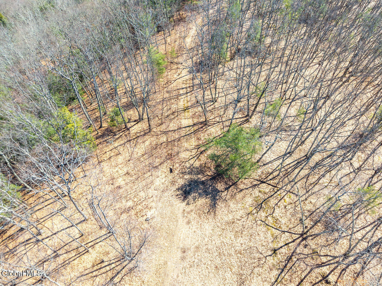 L18.1 Engle Road Schoharie, NY 12157 - Photo 36 of 39 15-RalphEngleRd_15 (1)