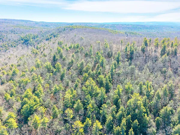 $499,900 | L18.1 Engle Road, Schoharie, NY 12157