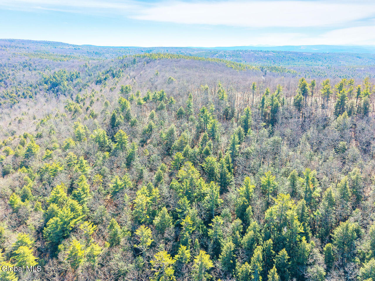 L18.1 Engle Road Schoharie, NY 12157 - Photo 37 of 39 14-RalphEngleRd_14
