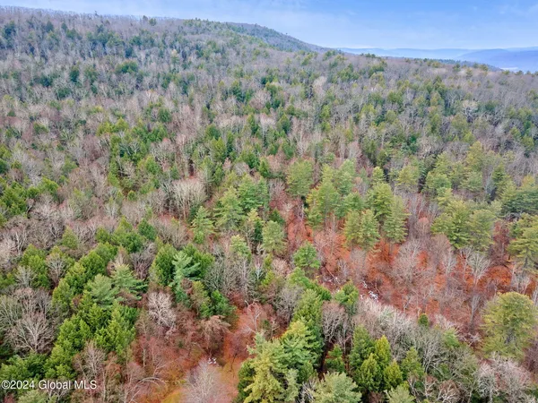 $499,900 | L18.1 Engle Road, Schoharie, NY 12157